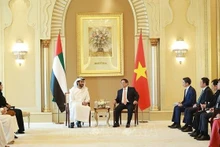 Premier vietnamita recibe al ministro de Economía de EAU