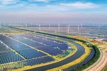 Vietnam continúa impulsando el desarrollo de fuentes de energía renovables. (Foto: baochinhphu.vn)