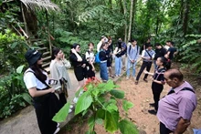 Turistas visitan la aldea de cultura Mari Mari en Kota Kinabalu, Malasia. (Fotografía: tuoitre.vn)