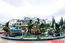 En Da Lat. (Fotografía: Nhan Dan)