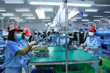 Se esperan señales positivas para la exportación de productos vietnamitas. (Fotografía: laodong.vn)