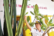 Tranquila vida en archipiélago vietnamita de Truong Sa