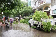 La provincia de Ha Long se centra en aliviar consecuencias de tormenta Prapiroon. (Fotografía: VNA)