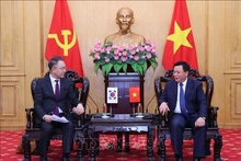 El presidente de la Academia Nacional de Política Ho Chi Minh, Nguyen Xuan Thang (derecha), se reúne con el presidente del instituto NHI de Corea del Sur, Kim Chae-Hwan. (Fotografía: VNA)
