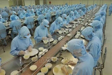 Empresas vietnamitas fomentan inversiones para exportar nidos de golondrina. (Fotografía: VNA)