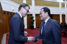 El vice primer ministro vietnamita Tran Luu Quang recibe al presidente del Parlamento Europeo para las Relaciones con los países del Sudeste Asiático y Asean, Daniel Caspary. (Fotografía: VNA)