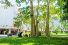 Explorar “ciudad bosque” vietnamita de Buon Ma Thuot