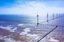 La transición a las energías renovables se considera una cuestión clave de la economía circular. (Fotografía: VNA)