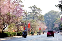 Ciudad vietnamita romántica con flores de cerezo