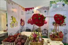 Frutas vietnamitas presentadas en Fruit Logistica 2024. (Fotografía: VNA)