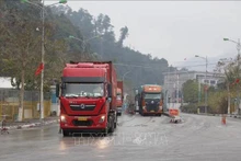 Recuperan intercambio comercial y viaje a través de puerta fronteriza entre Vietnam y China. (Fotografía: VNA)