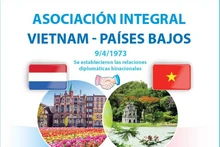 Progreso incesante de relaciones multifacéticas Vietnam-Países Bajos
