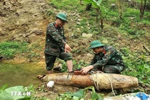 Una bomba de 226 kilogramos desactivada en la provincia de Nghe An. (Fotografía: VNA)