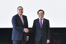 El vice primer ministro vietnamita Tran Luu Quang (derecha) saluda al primer ministro de Egipto, Mostafa Madbouly. (Fotografía: VGP)