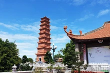 Torre de Tuong Long, milenaria reliquia en ciudad vietnamita de Hai Phong