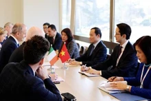 El vicepremier Tran Luu Quang en la reunión con el vice primer ministro, canciller y titular del Ministerio de Defensa de Irlanda, Michéal Martin. (Fotografía: VNA)