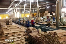 Productos de muebles de madera para exportación en la fábrica de Duc Toan Binh Dinh en la zona económica de Nhon Hoi, en la ciudad de Quy Nhon. (Fotografía: VNA)
