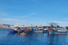 Provincia vietnamita toma medidas concertadas para prevenir pesca ilegal. (Fotografía: thuysanvietnam.com.vn)
