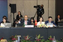 Delegación de Vietnam participa en la 12 Consulta AEM-Canadá. (Fotografía: VNA)