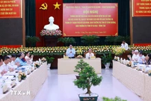 [Foto] Premier vietnamita preside reunión entre Delegación de Inspección número 1908 y localidades sureñas