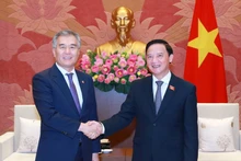 El vicepresidente de la Asamblea Nacional de Vietnam Nguyen Khac Dinh recibe al presidente del Consejo Metropolitano de Seúl, Kim Hyeon-ki. (Fotografía: VNA)