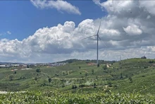 Vietnam fomenta la economía circular en bienes de consumo de rápido movimiento. (Fotografía: VNA)