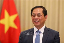 El vice primer ministro y titular de Relaciones Exteriores de Vietnam, Bui Thanh Son. (Fotografía: VNA)