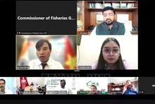 Participantes en el seminario en línea. (Foto capturada de pantalla: VNA)