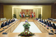 Panorama de la reunión. (Fotografía: Nhan Dan)