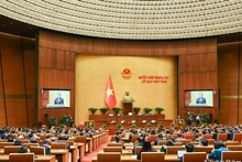 Escena de la sesión vespertina del 30 de noviembre en el marco del octavo período de sesiones de la AN de la XV legislatura. (Fotografía: Duy Linh)