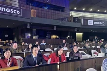 Representantes de Vietnam en la reunión. (Fotografía: VNA)
