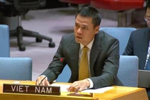 El embajador Dang Hoang Giang, representante permanente vietnamita ante la Organización de las Naciones Unidas. (Fotografía: VNA)