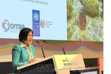 La embajadora Le Thi Tuyet Mai, jefa de la misión de Vietnam ante las Naciones Unidas, la Organización Mundial del Comercio y otros organismos en Ginebra. (Fotografía: VNA)