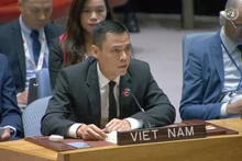 El embajador Dang Hoang Giang, jefe de la misión permanente de Vietnam ante la ONU, interviene en el debate. (Fotografía: VNA)