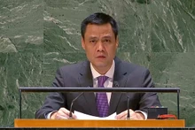 El embajador Dang Hoang Giang, jefe de la delegación de Vietnam ante las Naciones Unidas. (Fotografía: VNA)