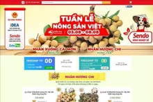 Longan vietnamita expuesto en venta en la plataforma Sendo. (Fotografía: VNA)