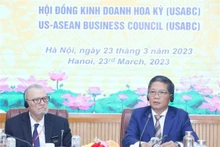 El miembro del Buró Político y jefe de la Comisión de Asuntos Económicos del Comité Central del Partido Comunista de Vietnam, Tran Tuan Anh, en la cita. (Fotografía: VNA)
