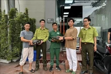 El Parque Nacional de Cuc Phuong recibe animales raros y en peligro de extinción. (Fotografía: VNA)