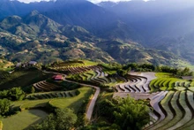 Medios internacionales honran a numerosos destinos de Vietnam
