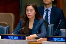 La ministra consejera Le Thi Minh Thoa, subjefa de la delegación permanente de Vietnam ante las Naciones Unidas. (Fotografía: VNA)
