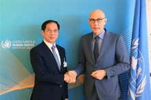 El ministro de Relaciones Exteriores de Vietnam, Bui Thanh Son, y el alto comisionado de las Naciones Unidas para los Derechos Humanos, Volker Turk. (Fotografía: VNA)