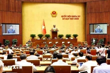 Panorama de la reunión. (Fotografía: VNA)