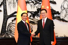 El vice primer ministro y canciller de Vietnam, Bui Thanh Son (izquierda), recibe al vicepresidente de China, Han Zheng. (Fotografía: VGP)