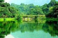 Un rincón del Parque Nacional de Cuc Phuong. (Fotografía: baodantoc.vn)