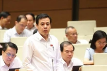 El diputado Tran Anh Tuan de Ciudad Ho Chi Minh habla en una sesión de debate. (Fotografía: VNA)
