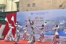 Una presentación artística en el festival. (Fotografía: baovanhoa.vn)