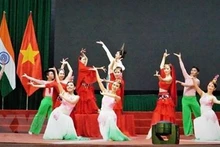 Presentación artística en el evento. (Fotografía: VNA)