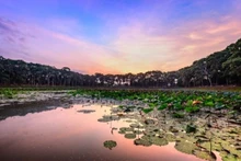 El estanque de Ba Om, en la provincia de Tra Vinh. (Fotografía: vtn.vn)
