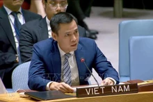 El embajador Dang Hoang Giang, jefe de la misión vietnamita ante las Naciones Unidas. (Fotografía: VNA)