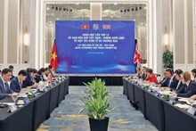 Panorama de la reunión. (Fotografía: VNA)